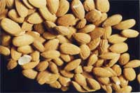 almonds with the skins on