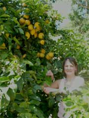 me in a lemon tree