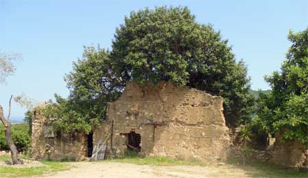 the old house in Agriturismo S'Omu Eccia In Ogliastra